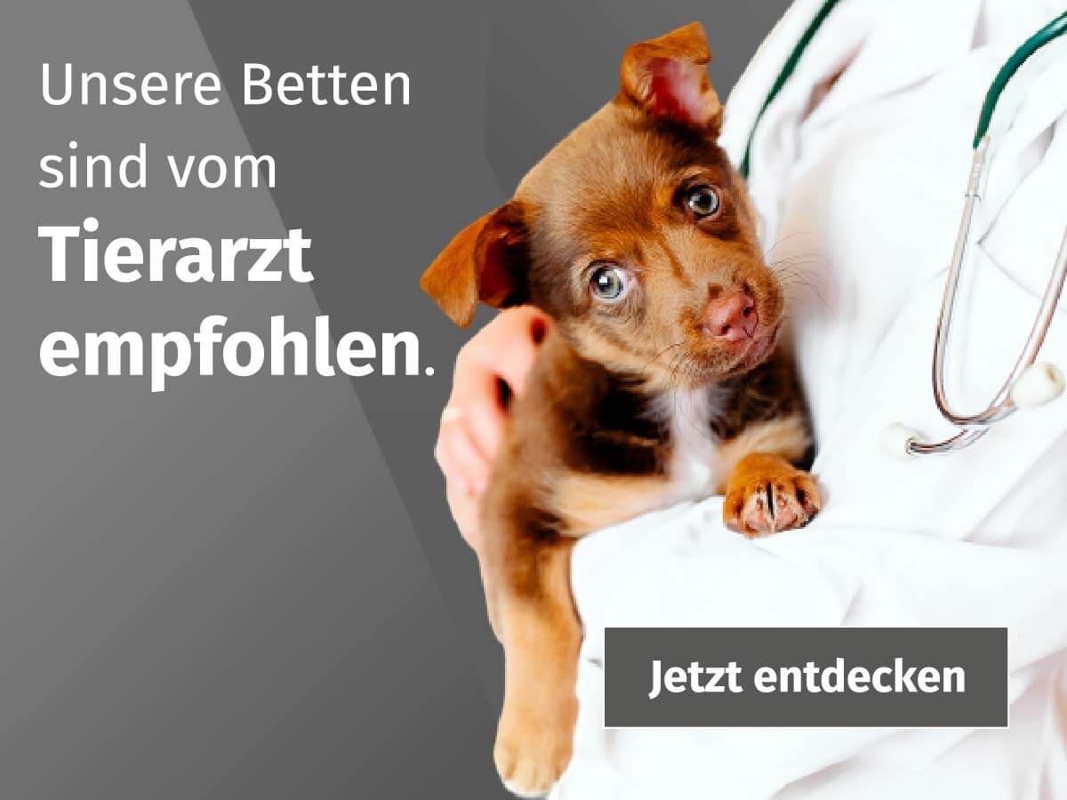 vom Tierarzt empfohlen Betten sind vom Tierarzt empfohlen